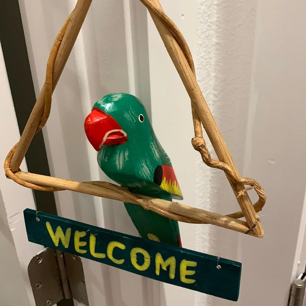 Parrots 🦜 - Picture 7 of 12